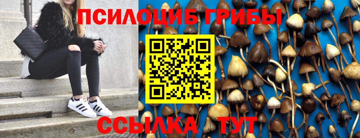 Галлюциногенные грибы Psilocybe Ханты-Мансийск